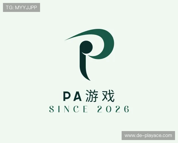 认识PA游戏